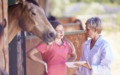 specialist care for your horse