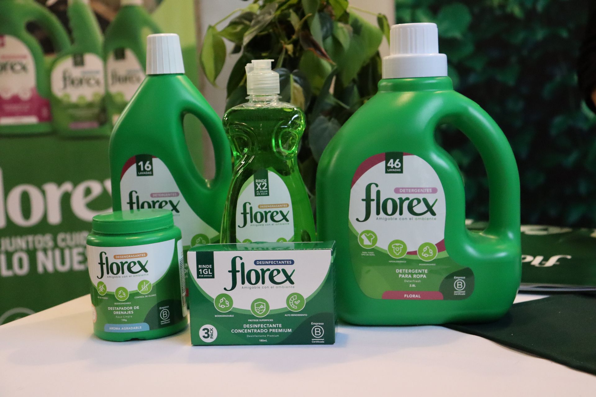 productos-limpieza-florex-detergente-lavaplatos-desinfectante.jpg