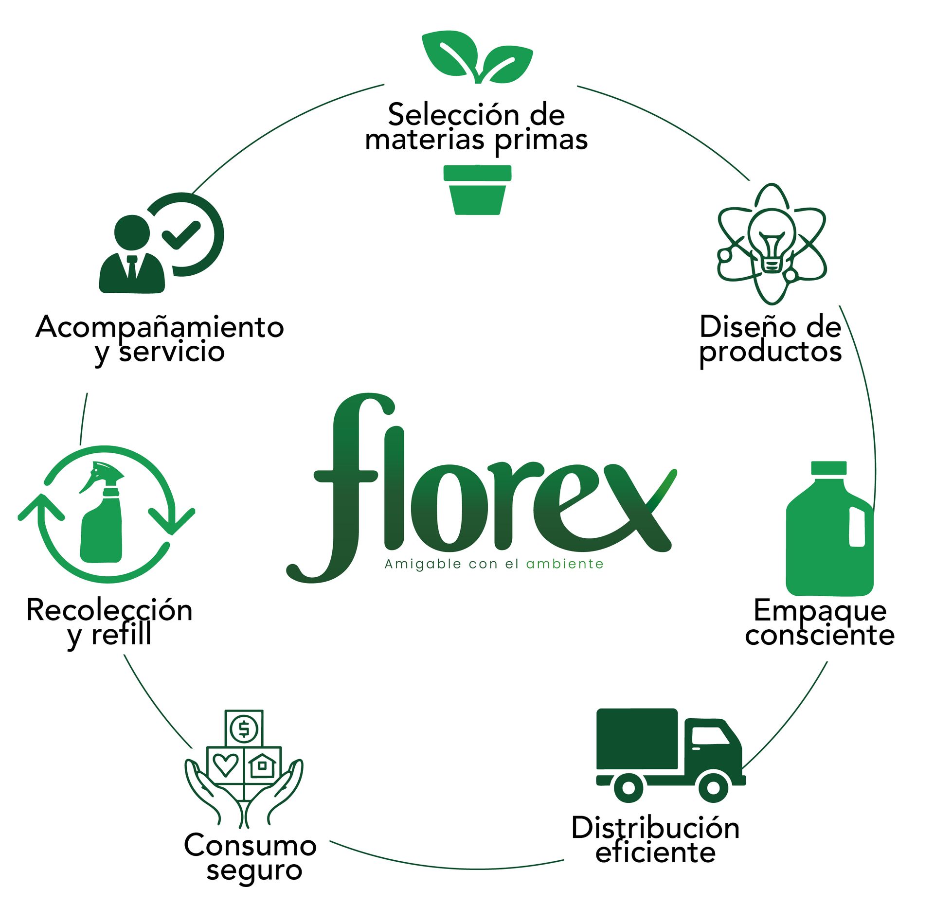 metodologia-florex-ciclo-sostenible.jpg