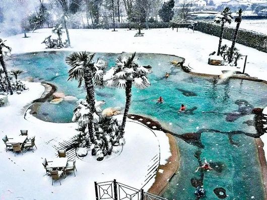 piscina naturale con neve e palme vicino