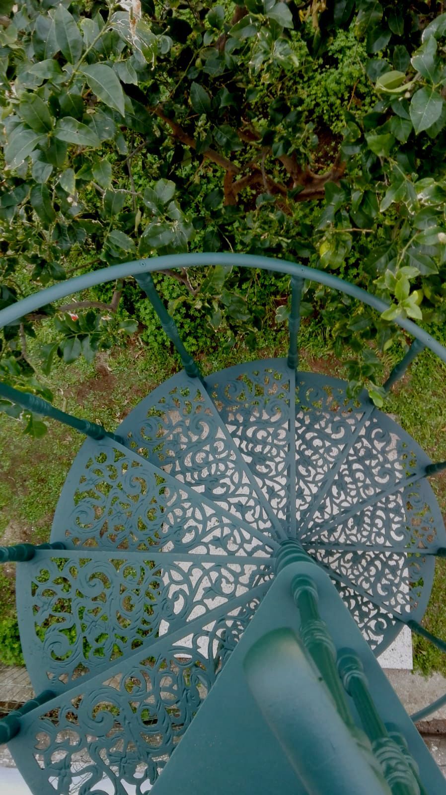 Scala a chiocciola in metallo con vista sulla fitta vegetazione verde.