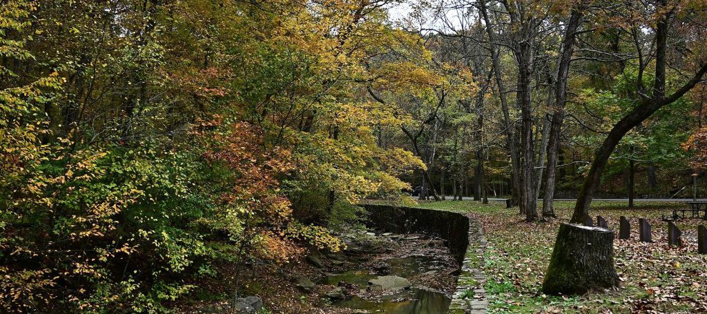 Autumnal scene: a tranquil stream bordered by trees with colorful foliage; a cemetery is visible in the background.