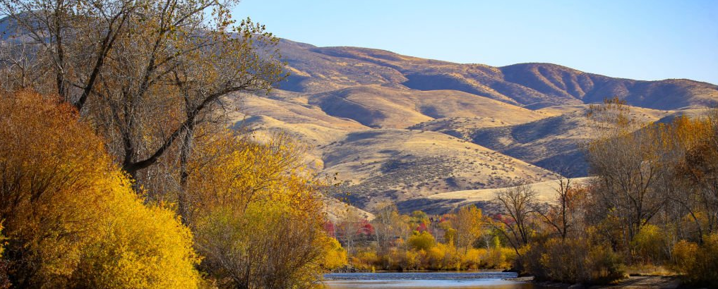 SEO Services Boise 