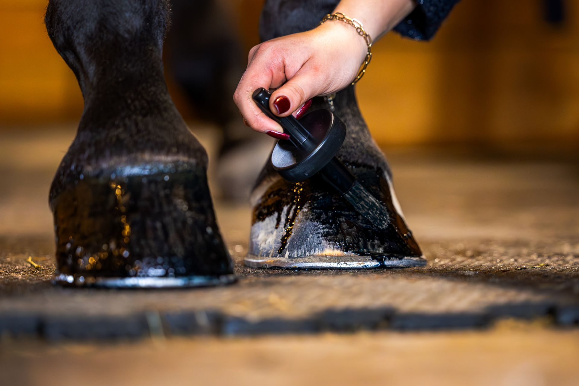 Verzorgt, beschermt en houdt hoeven soepel. Geeft een diepe, zwarte glans – perfect voor wedstrijd of fotoshoot!