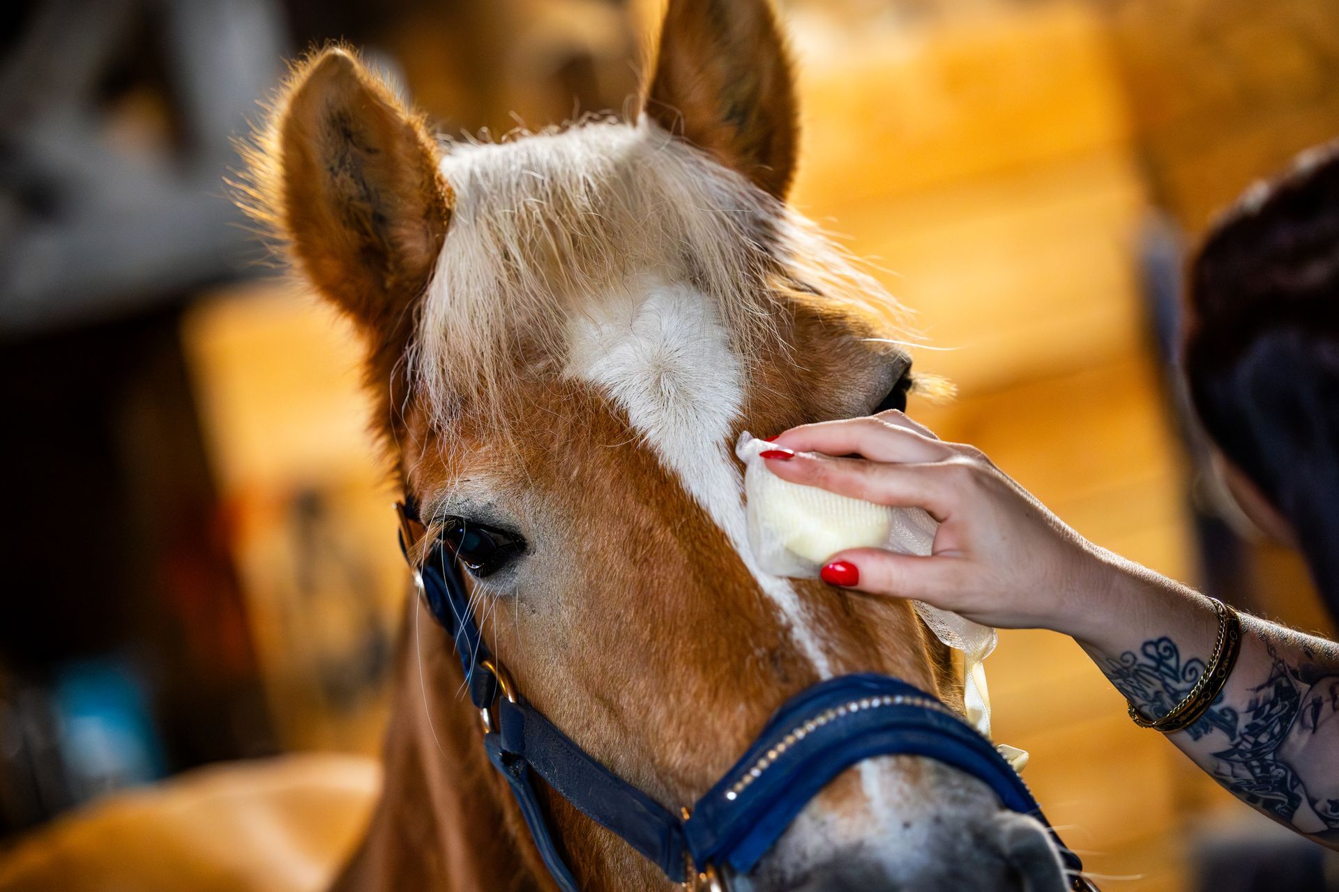 Frisse citroenpower voor een glanzende vacht! Natuurlijke, zachte formule in handig herbruikbaar blikje. Waszakje herbruikbaar en los bij te bestellen.