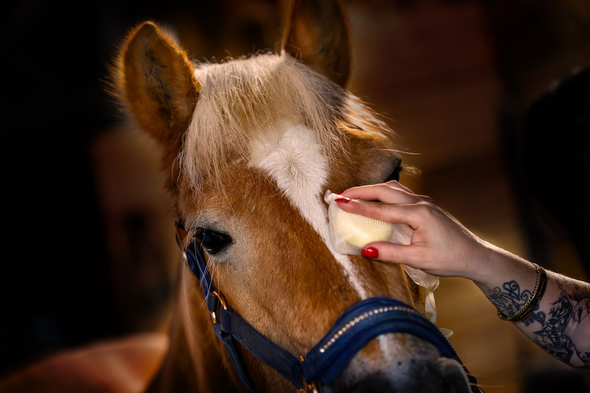 Waszakje Pro Gloss Lemon Bar