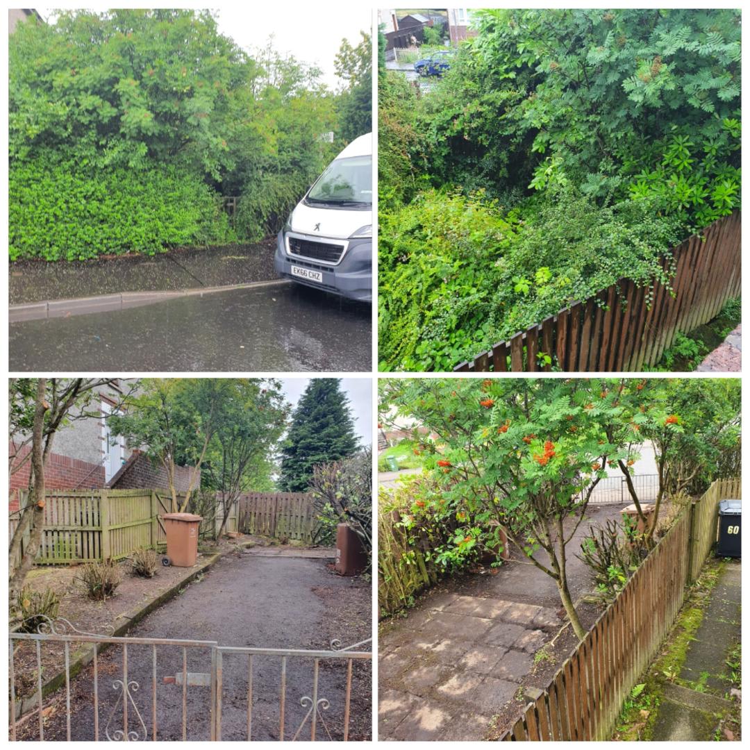 gallery of garden services