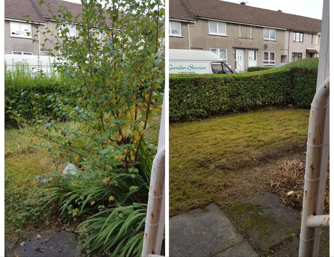 before and after of garden