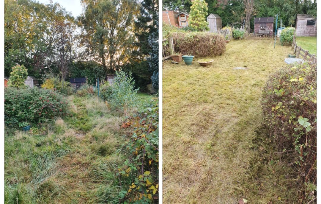before and after of garden