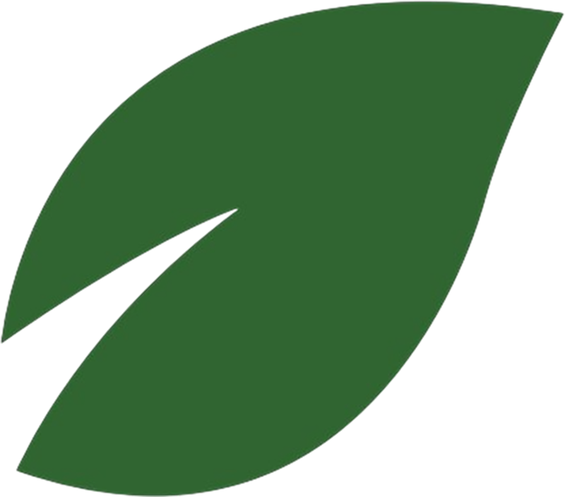 Green leaf with a white split.