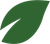 Green leaf with a white split.
