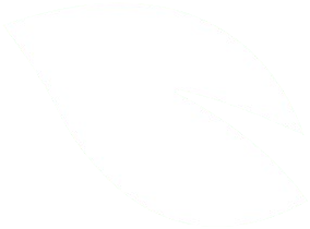 White, blurry, curved shapes.