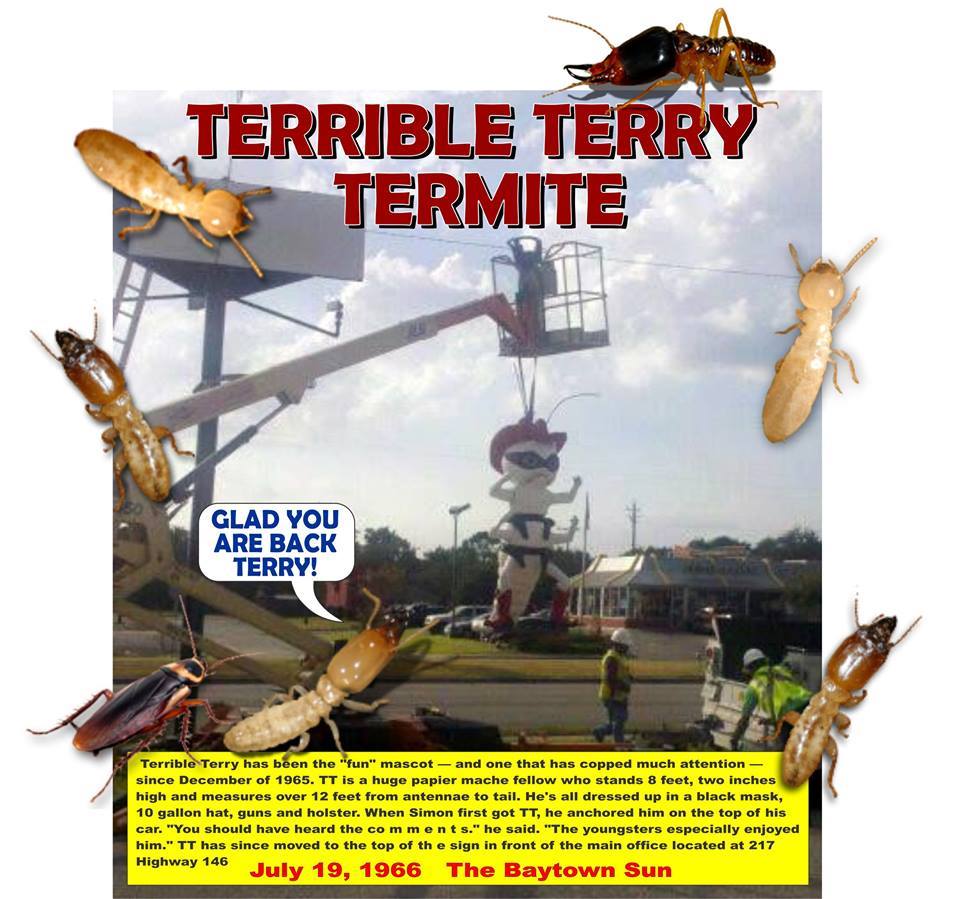 Pest Control Program — Terrible Terry Termite in Baytown, TX