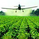 Exterminating — Plants Pesticides in Baytown, TX