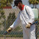 Pests — Pest Control Industry in Baytown, TX