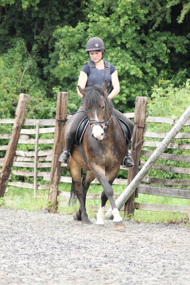 Horse Riding Lesson, Children's Riding Lesson in Bristol & South Gloucestershire