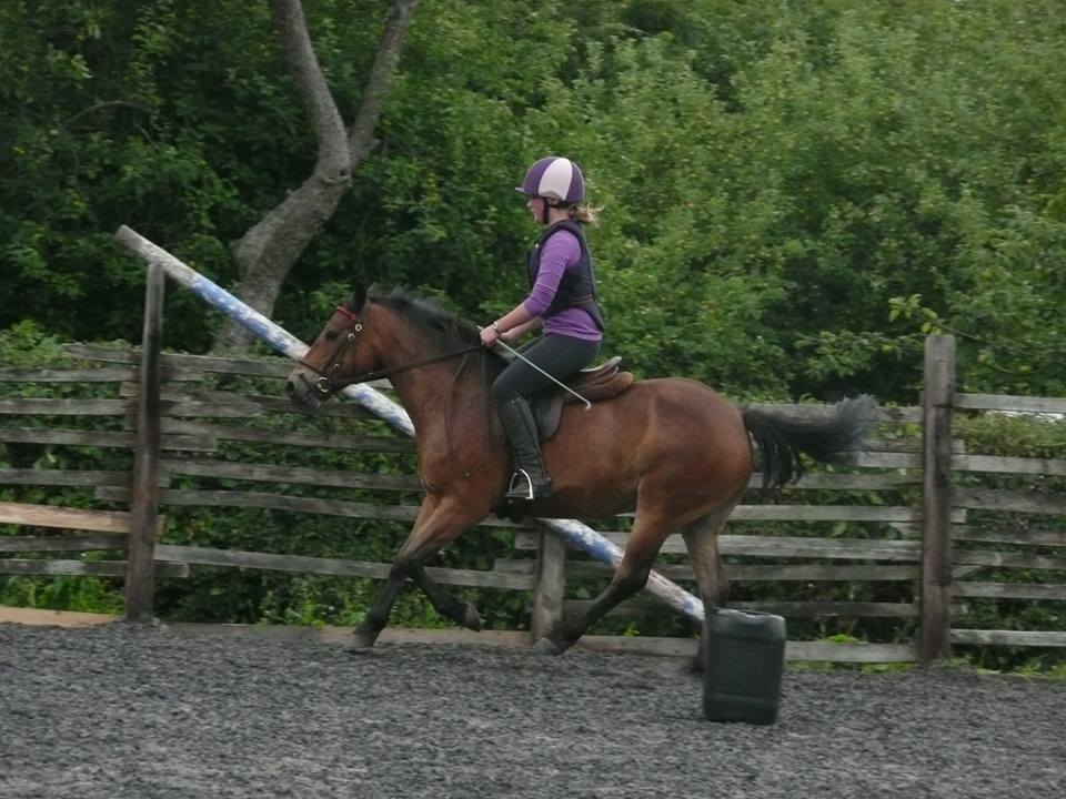 Children's Horse Riding Lesson Yate, Bristol