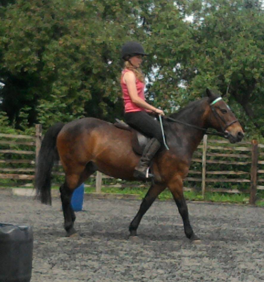 Children's Horse Riding Lesson Yate, Bristol