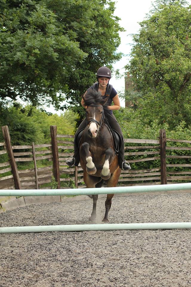 Children's Horse Riding Lesson Yate, Bristol