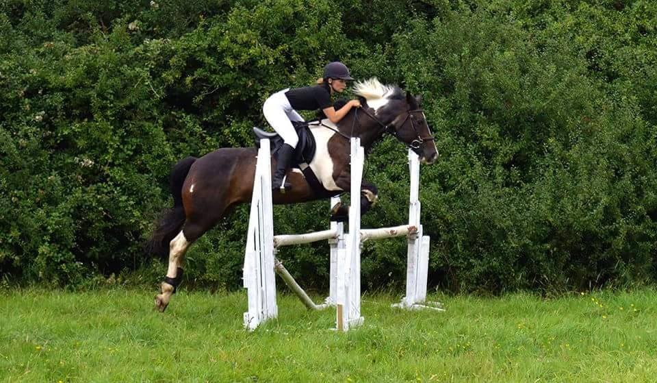 Children's Horse Riding Lesson in Bristol & South Gloucestershire