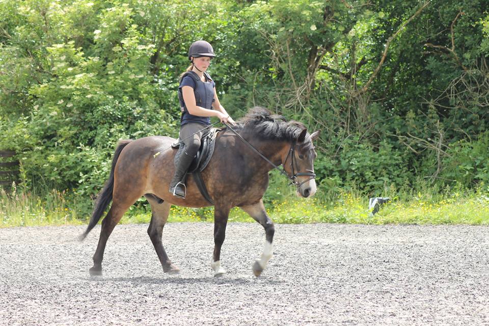 Children's Horse Riding Lesson Yate, Bristol