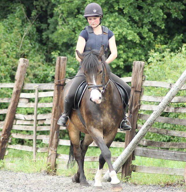 Engine Common Riding School Children's Horse Riding Lesson in Bristol & South Gloucestershire
