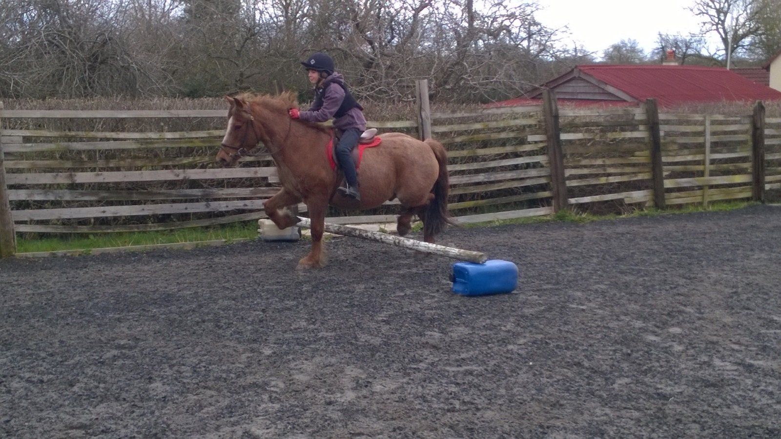 Horse Riding School Children's Riding Lesson Yate, Bristol