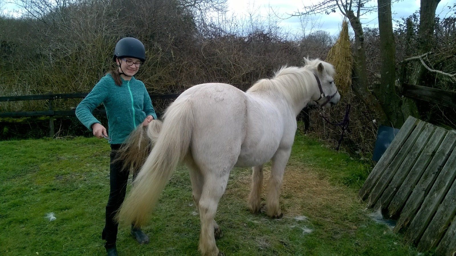 Children's Horse Riding Lesson, Stable Management in Bristol & South Gloucestershire