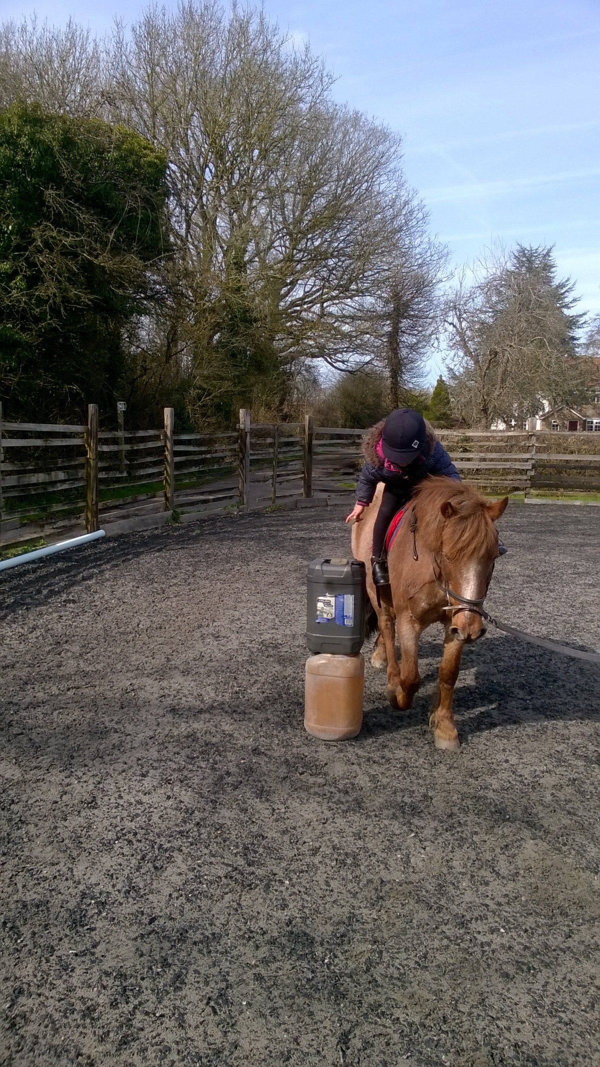 Horse Riding School Children's Riding Lesson Yate, Bristol