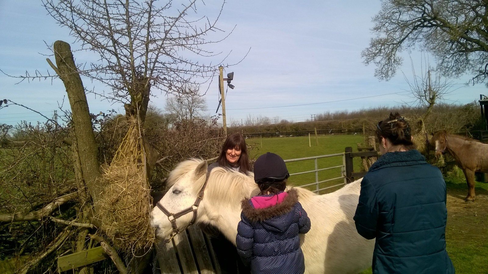 Horse Riding School Children's Riding Lesson Yate, Bristol