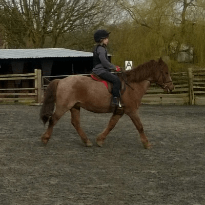 Children's Horse Riding Lesson in Bristol & South Gloucestershire