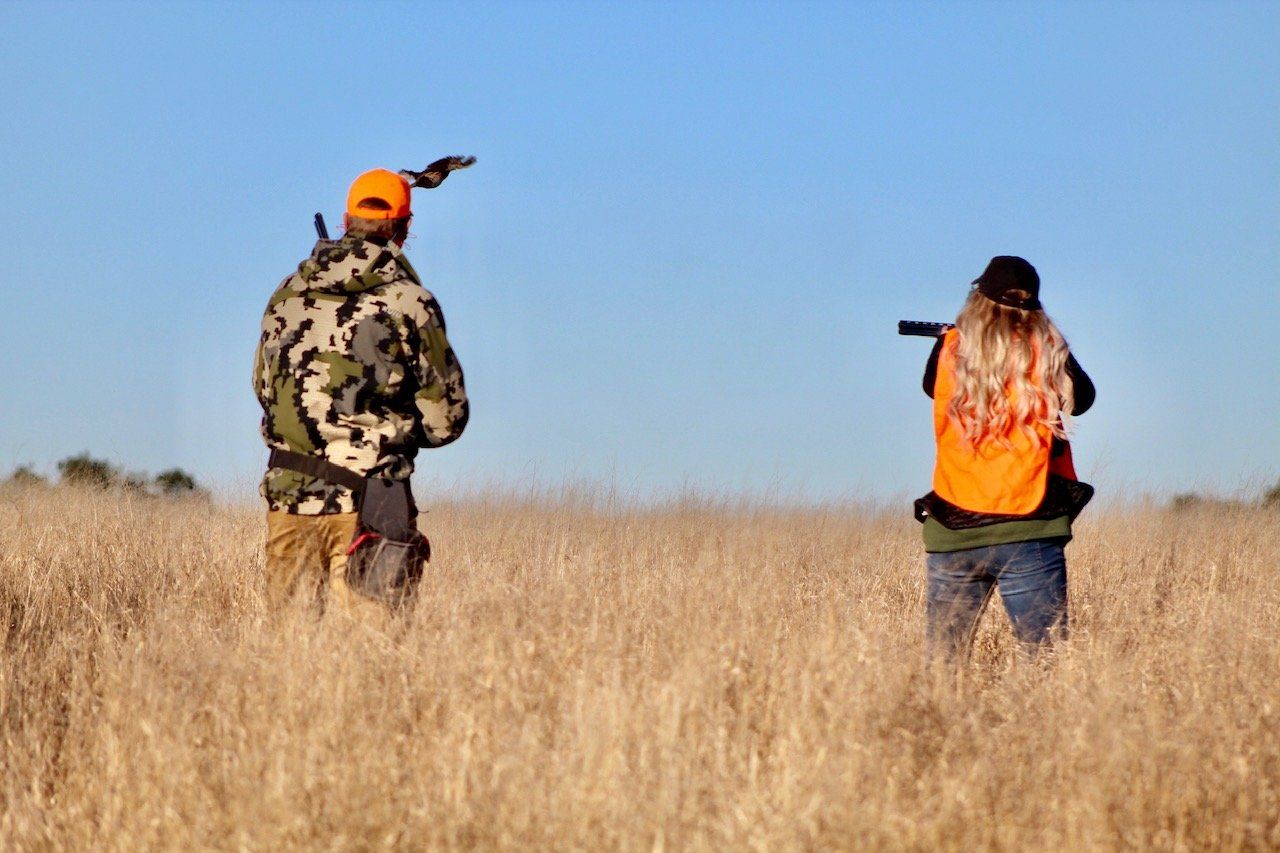 Two hunters in a field, one holding a shotgun, both wearing safety vests and facing the horizon.