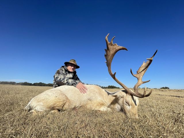 新品 送料無料 イギリス RSPBピンバッジ 鹿 Fallow Deer バンビ fawe.org