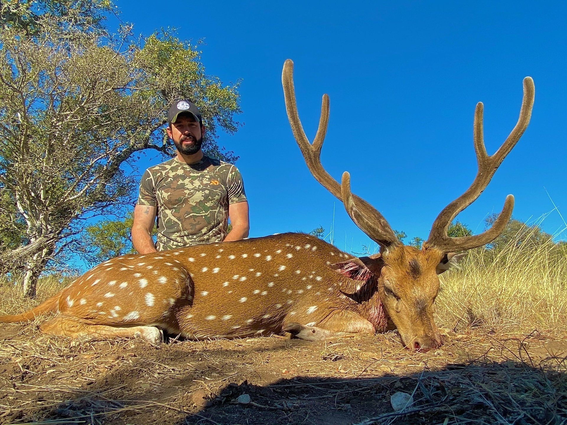 Man in camo with a spotted deer, trophy hunt. Blue sky background.