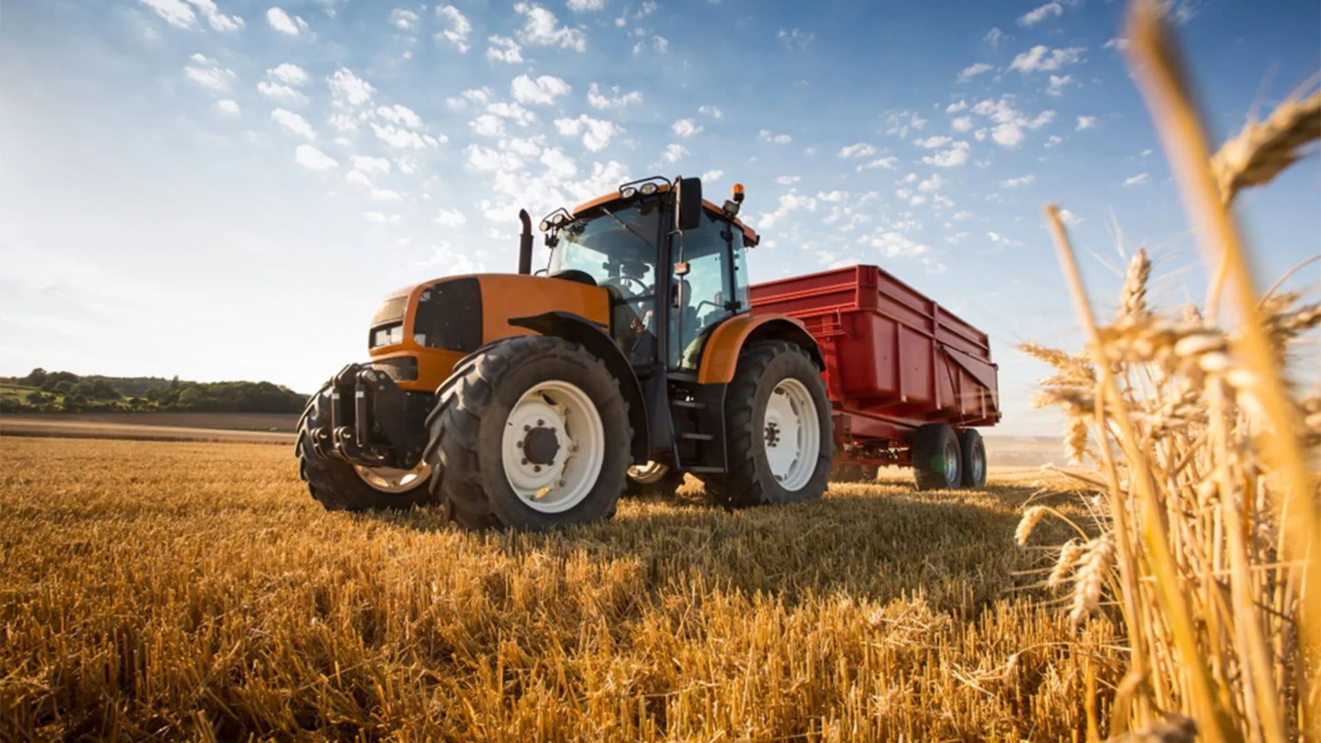 Tractor Pulling a Red Trailer in a Golden Wheat Field Under a Blue Sky — Wheel Alignment Centre in Braitling, NT