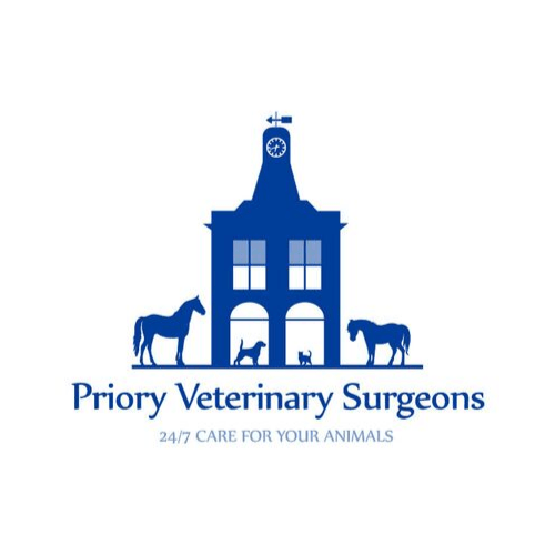 Priory Vets, Reigate