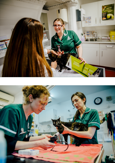 Priory Vets, Reigate and Surrounding Areas