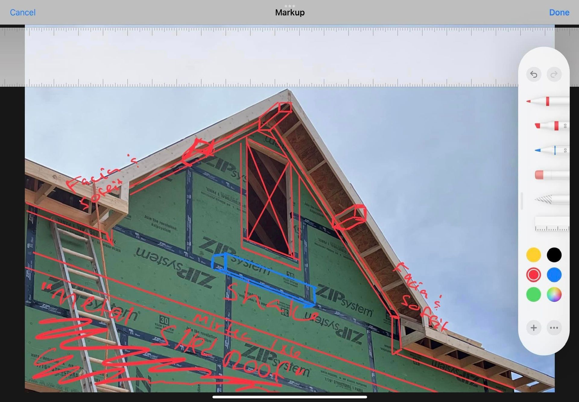 Professional Carpenter