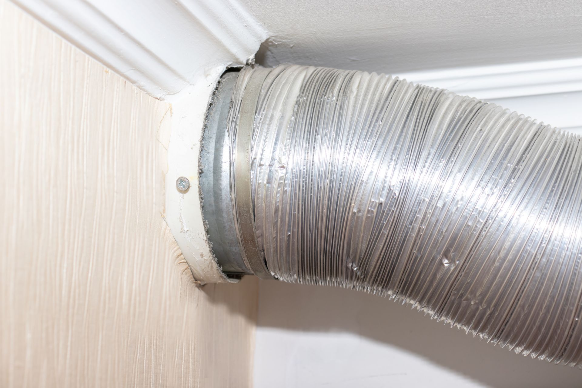 A dryer vent hose connected to a wall. The hose is silver, wall is beige, ceiling is white with molding.