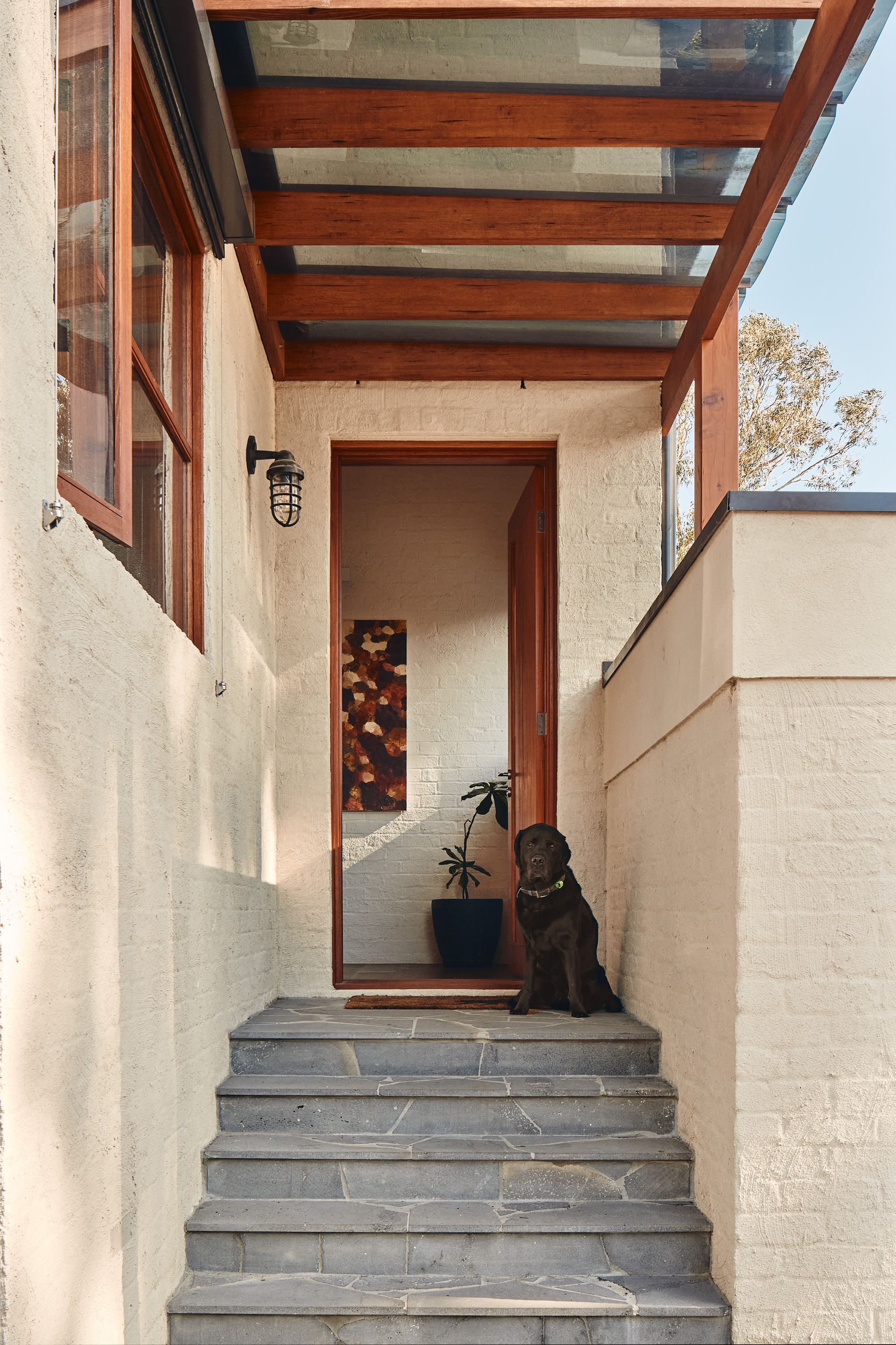A dog is sitting on the steps of a house.