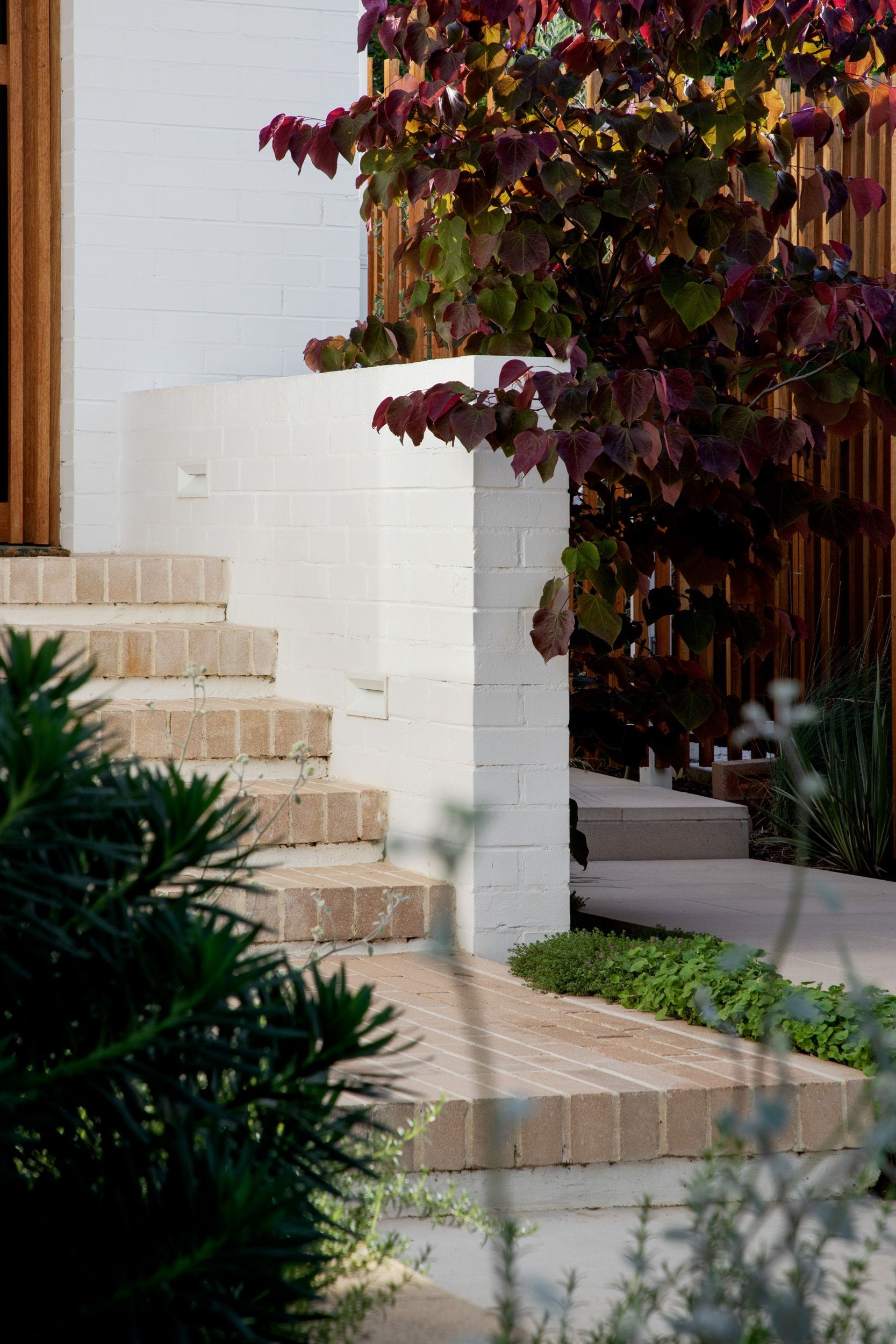 A set of stairs leading up to a house with a tree in the background.