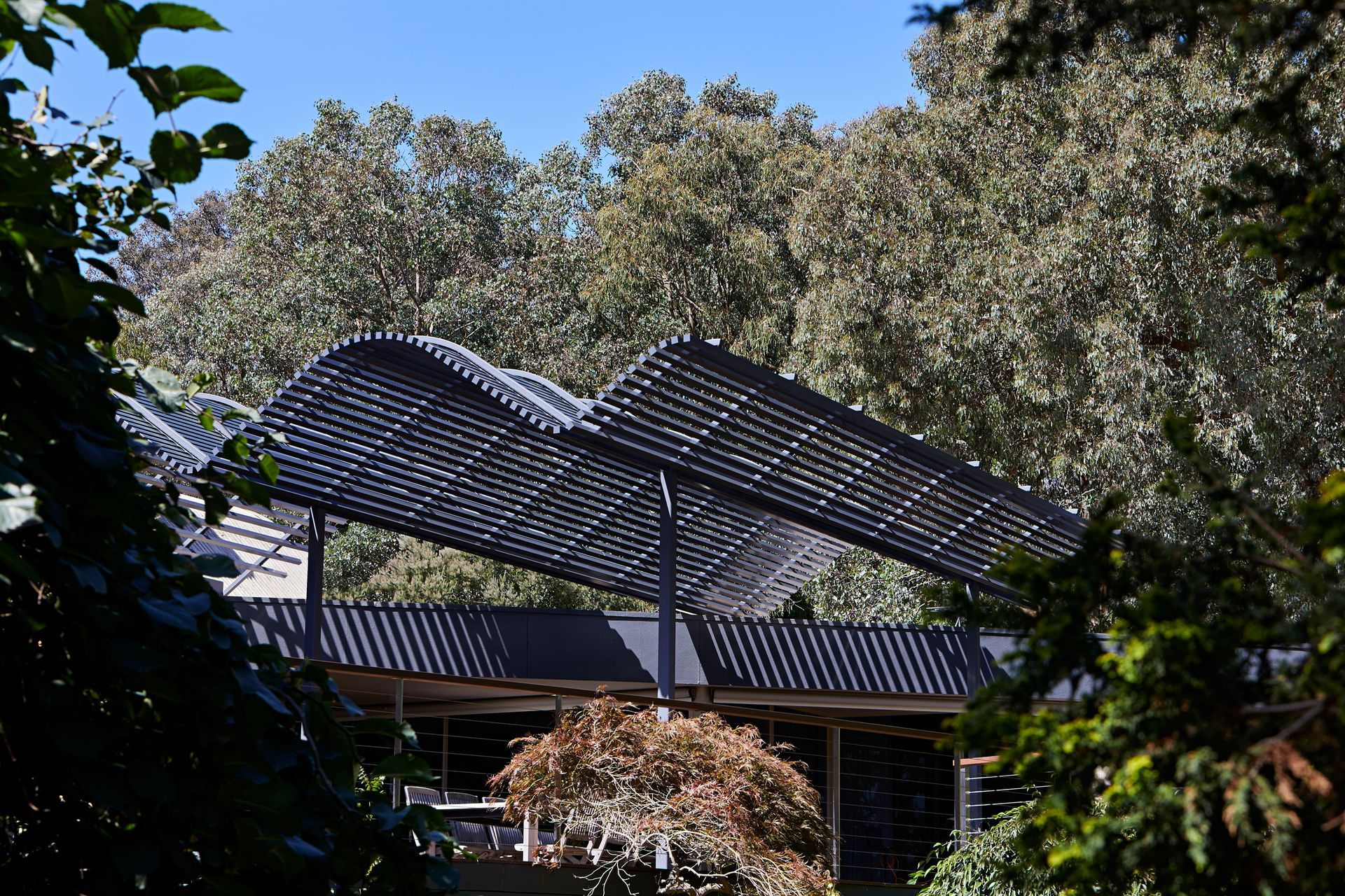 A house with a large roof is surrounded by trees on a sunny day.