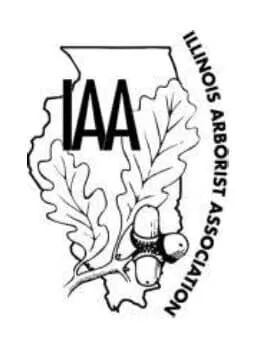 IAA logo