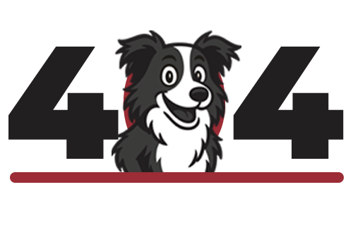 404 - The Page You are looking for cannot be found