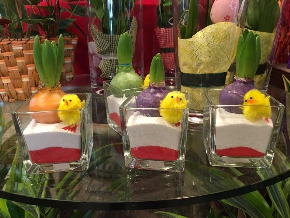 Piante in piccoli vasi di vetro