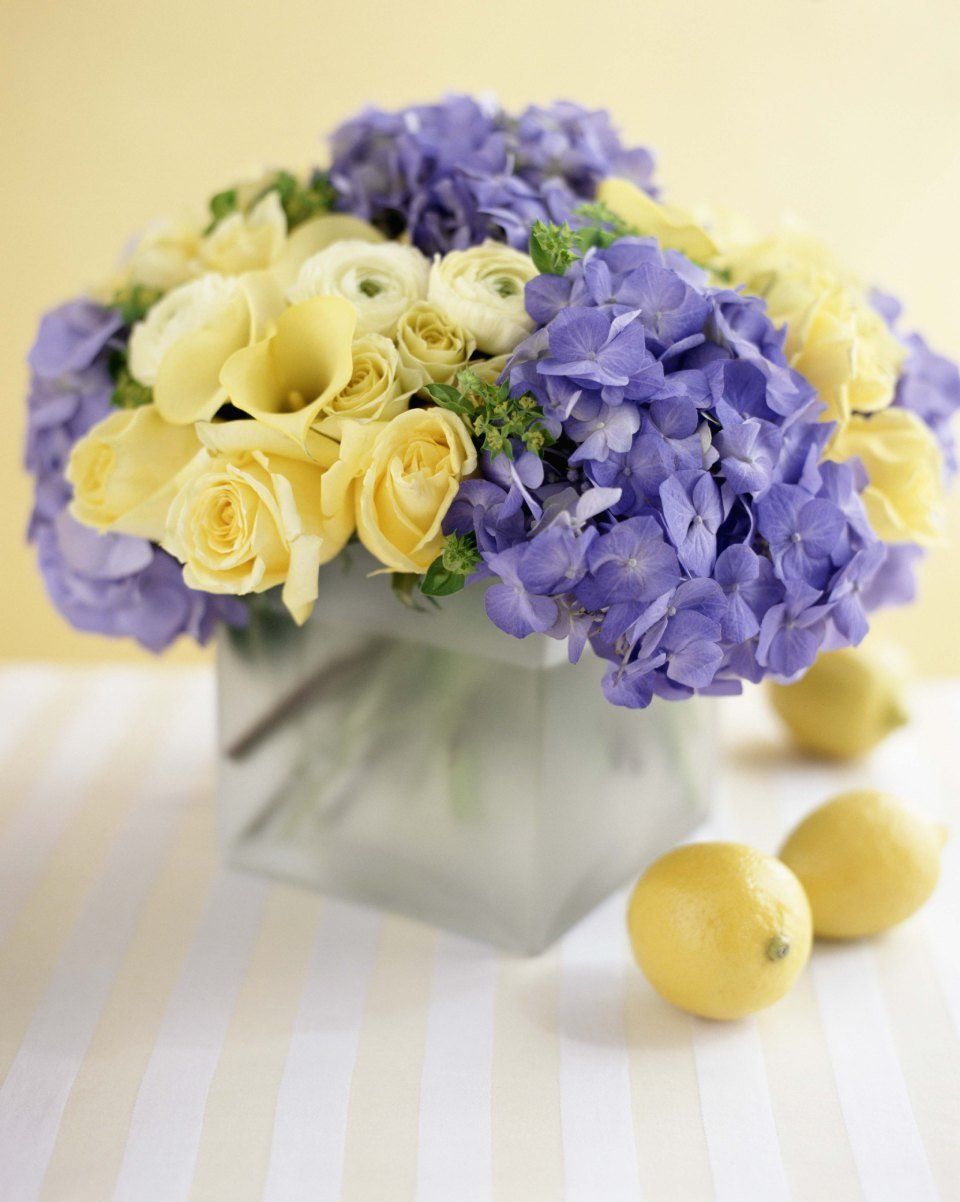 Fiori freschi viola e gialli