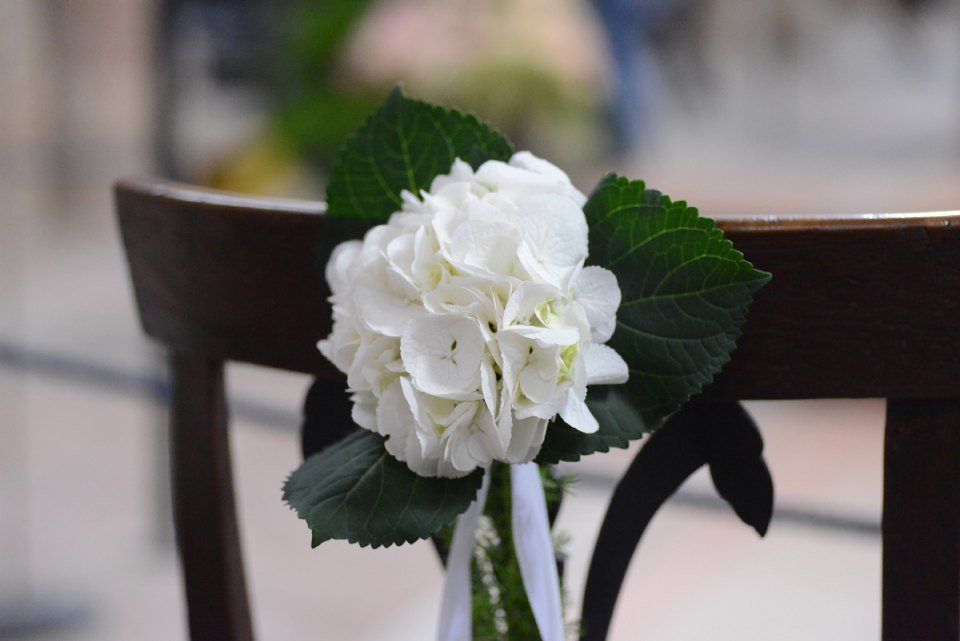 Decorazione di un fiore bianco su panchina