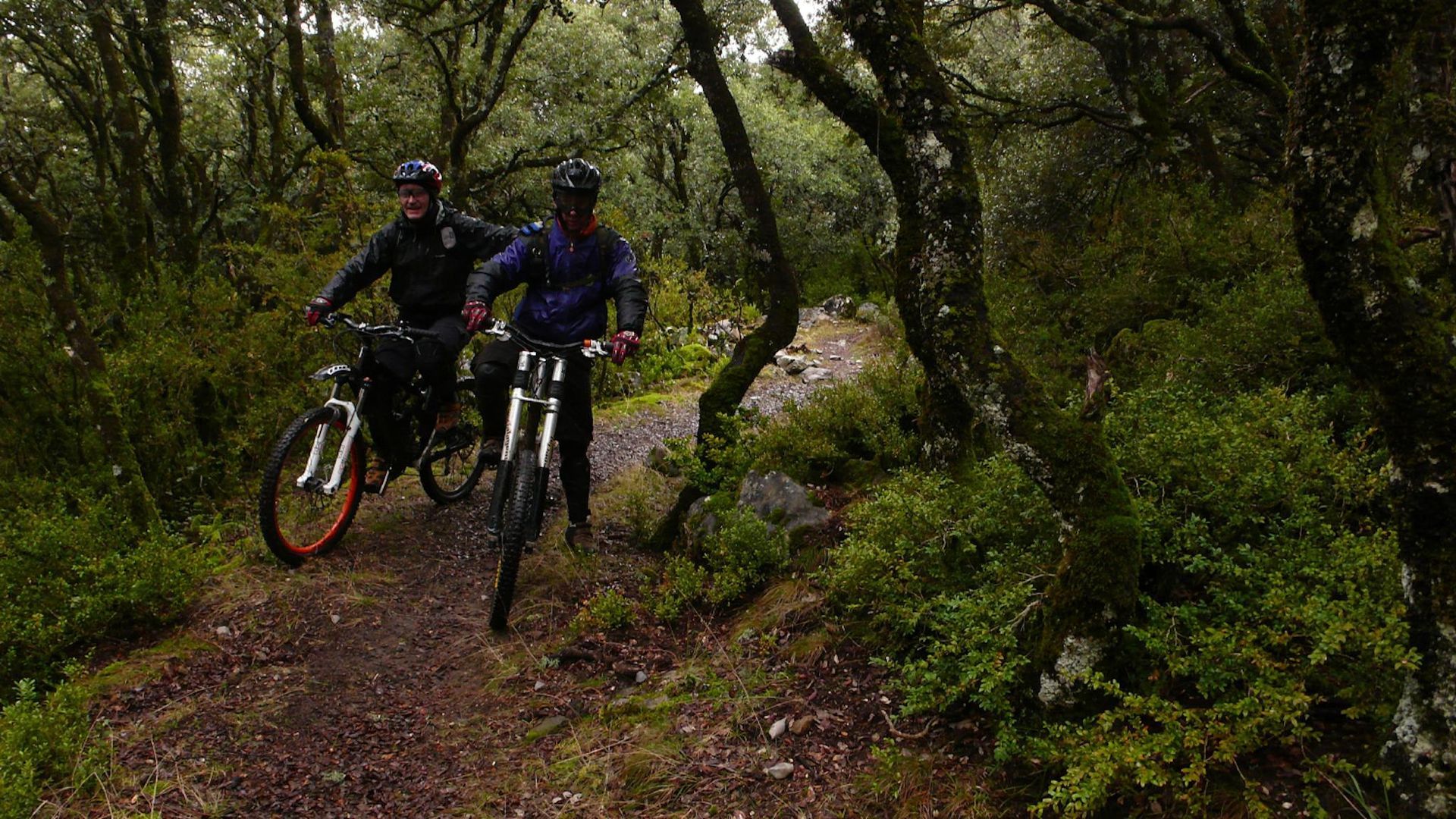 Dos personas en bicicletas de montaña recorren un camino de tierra en un bosque.