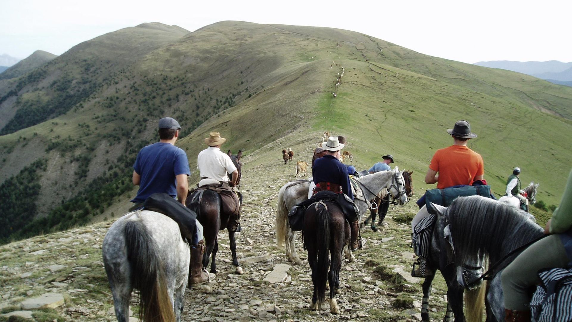 Grupo a caballo cabalgando a lo largo de una cresta, bajo un cielo soleado.