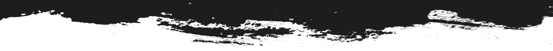 A black and white image of a brush stroke on a white background.